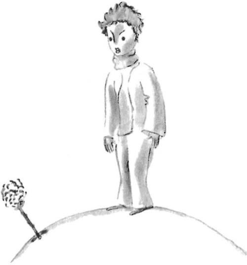《小王子》插图