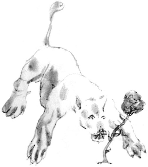 《小王子》插图