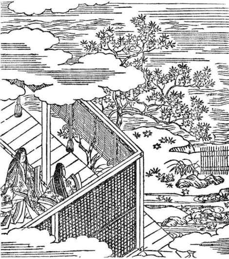 插图