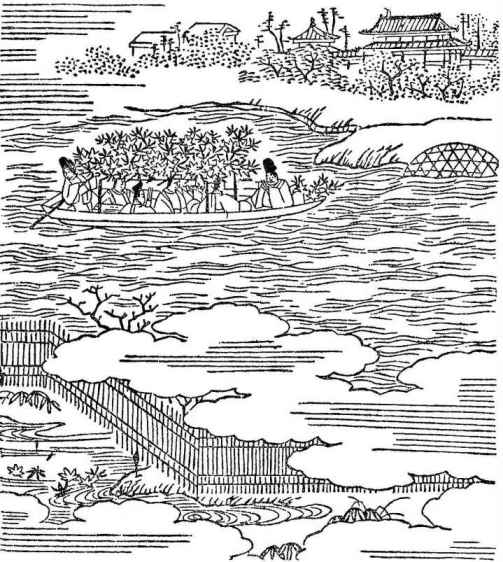 插图